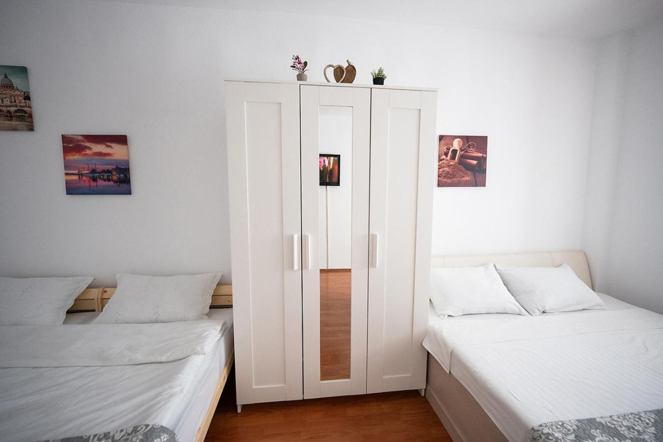 Aurel Vlaicu Apartment- Gara 브라쇼브 외부 사진